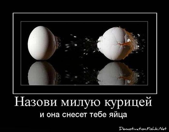 Смешной демотиватор от zubrilov за 15.06.2010 №55985