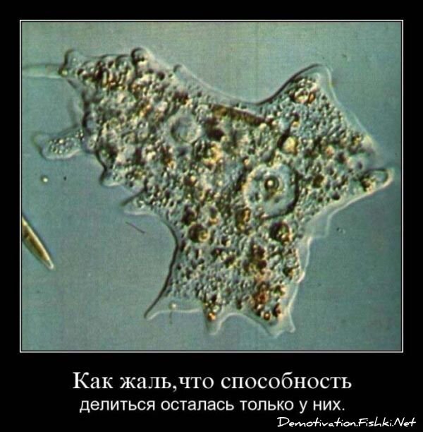 Смешной демотиватор от zubrilov за 15.06.2010 №55989