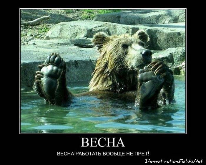 Смешной демотиватор от zubrilov за 15.06.2010 №55993