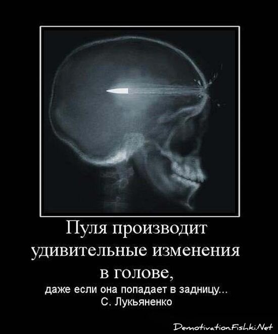 Демотиватор