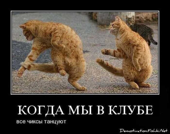 Смешной демотиватор от zubrilov за 15.06.2010 №55998