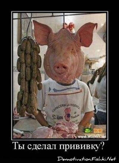 Демотиватор