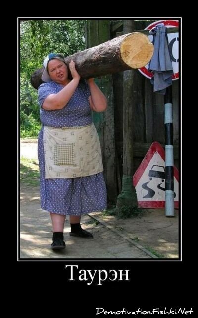 Смешной демотиватор от zubrilov за 15.06.2010 №56001