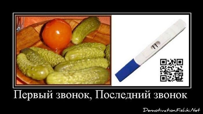 Демотиватор