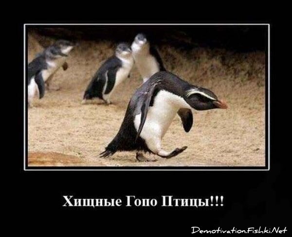 Смешной демотиватор от zubrilov за 15.06.2010 №56005