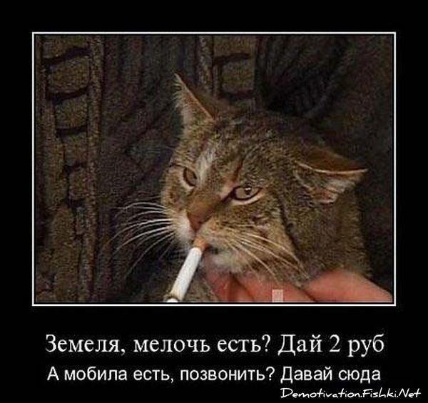 Смешной демотиватор от zubrilov за 15.06.2010 №56028