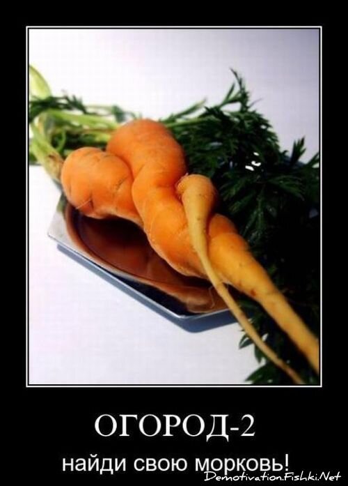 Смешной демотиватор от zubrilov за 15.06.2010 №56034