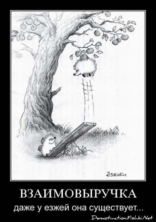 Смешной демотиватор от zubrilov за 15.06.2010 №56039