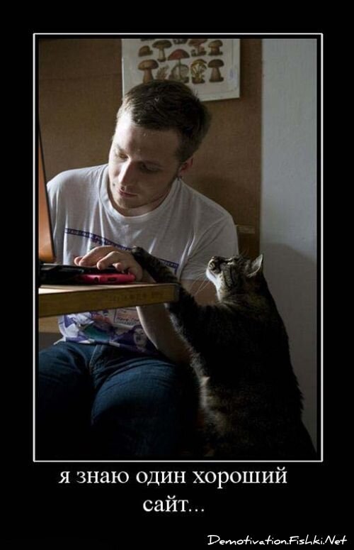 Демотиватор