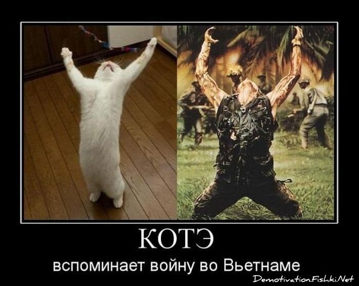 Демотиватор