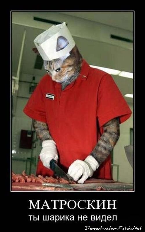 Демотиватор