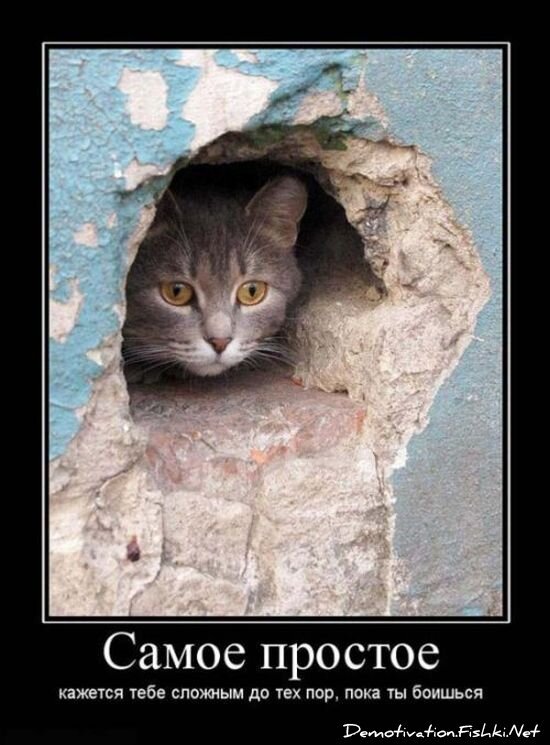 Смешной демотиватор от zubrilov за 15.06.2010 №56089