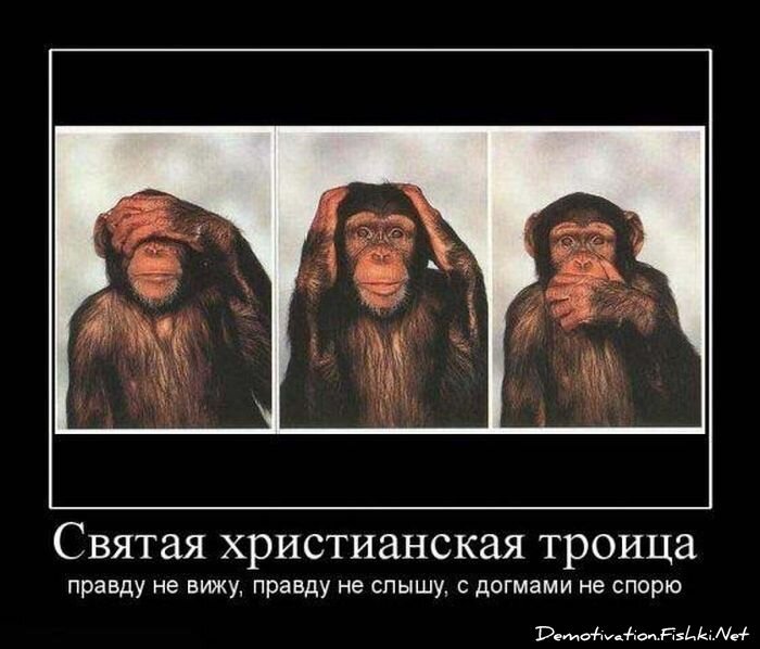 Демотиватор