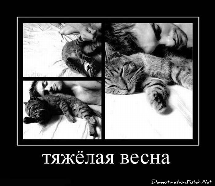 Смешной демотиватор от zubrilov за 15.06.2010 №56107