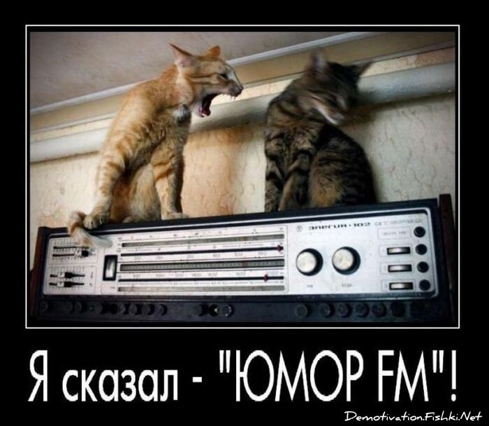 Смешной демотиватор от zubrilov за 15.06.2010 №56109