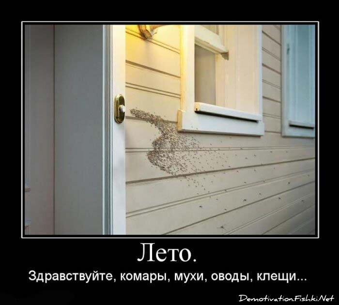 Демотиватор