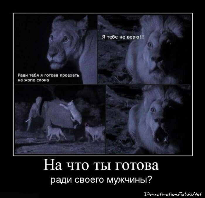 Демотиватор