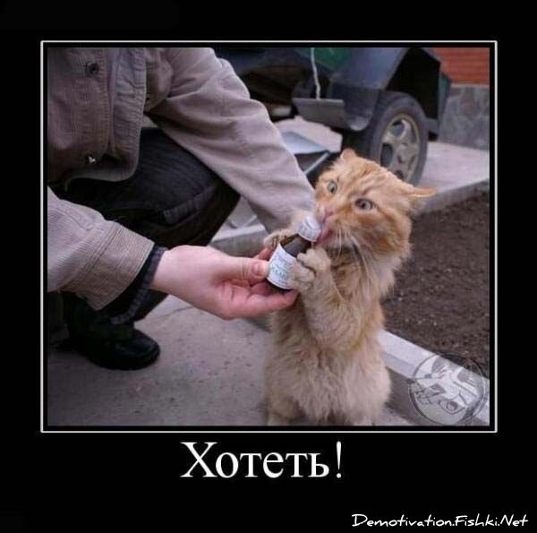 Демотиватор