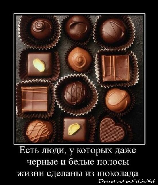 Смешной демотиватор от zubrilov за 15.06.2010 №56146