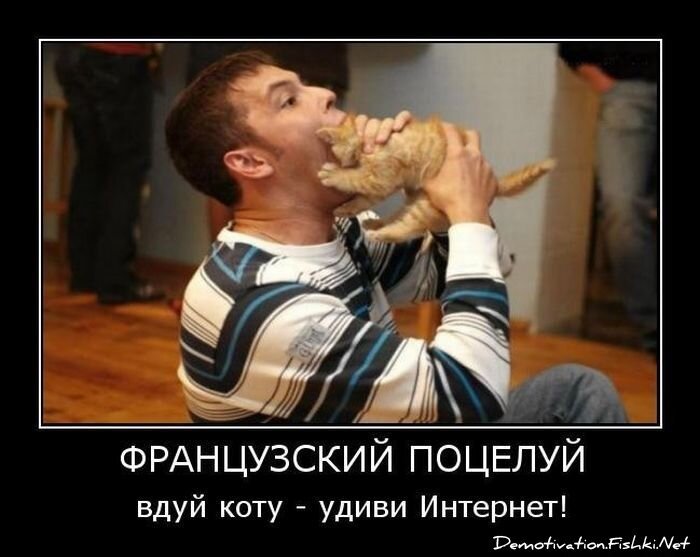 Демотиватор