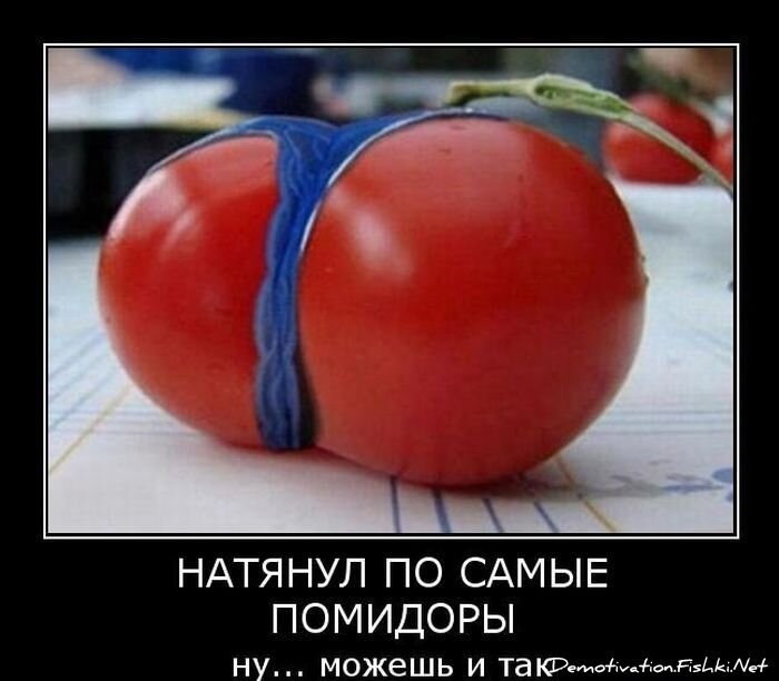 Смешной демотиватор от zubrilov за 15.06.2010 №56159