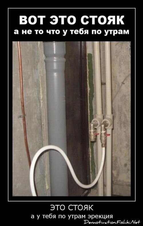 Смешной демотиватор от zubrilov за 15.06.2010 №56171
