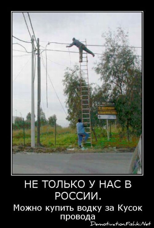 Смешной демотиватор от zubrilov за 15.06.2010 №56194