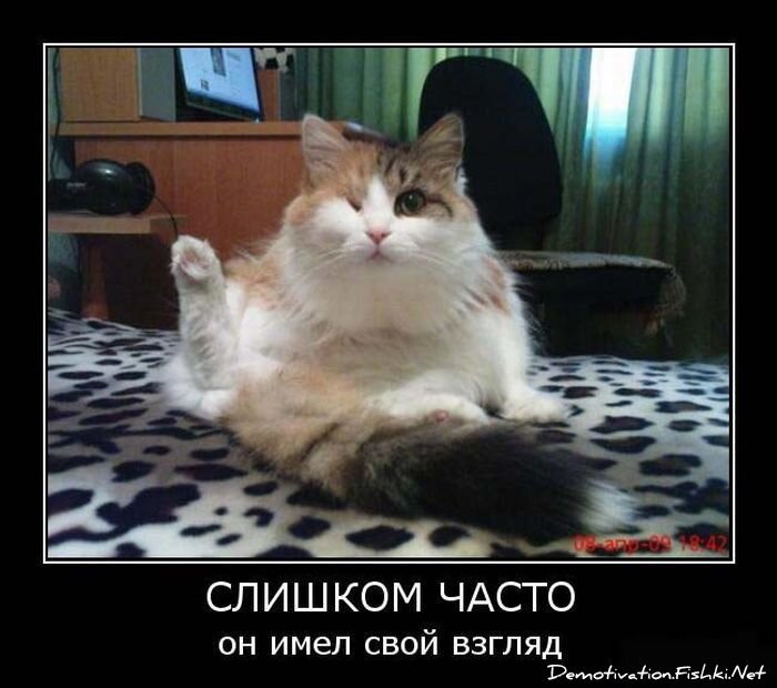 Демотиватор