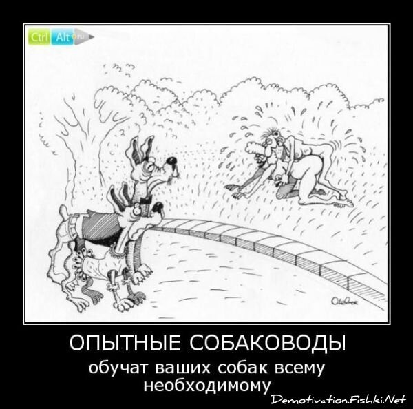 Смешной демотиватор от zubrilov за 15.06.2010 №56208