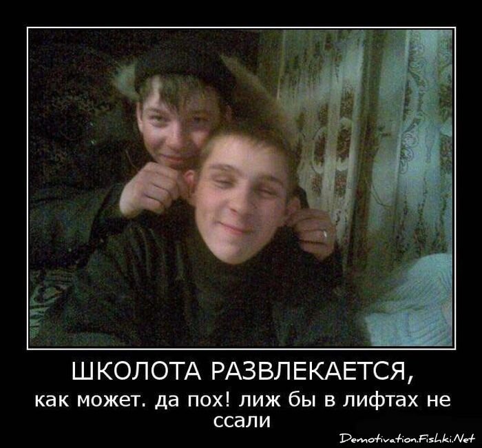 Демотиватор