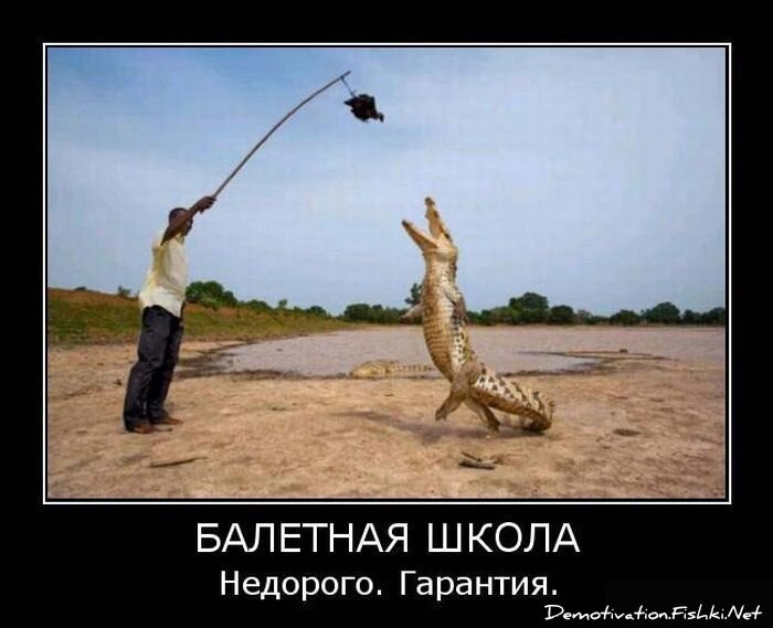 Смешной демотиватор от zubrilov за 15.06.2010 №56223