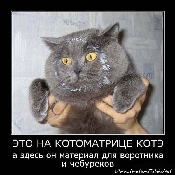 Смешной демотиватор от zubrilov за 15.06.2010 №56238