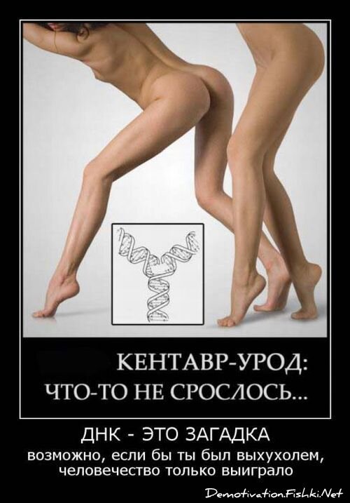 Демотиватор