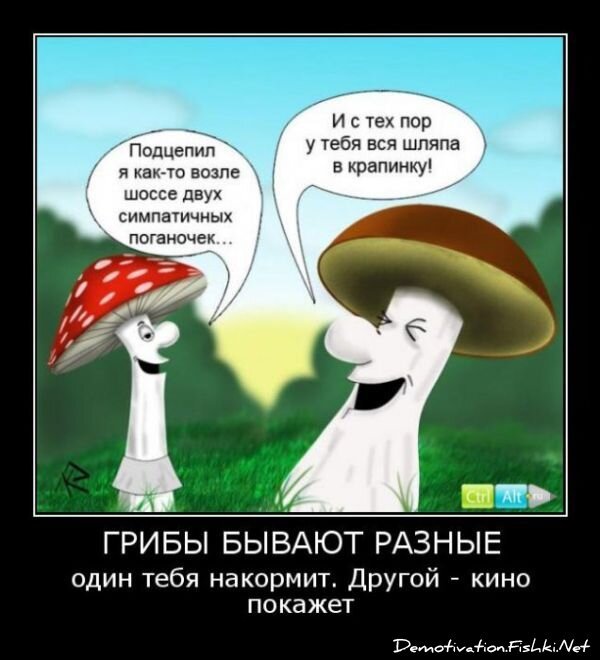 Демотиватор