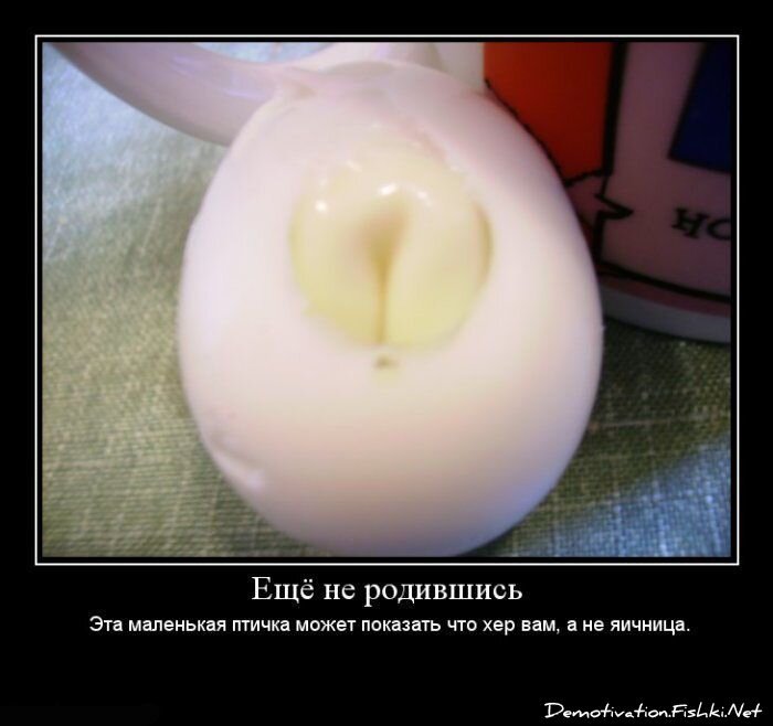 Демотиватор