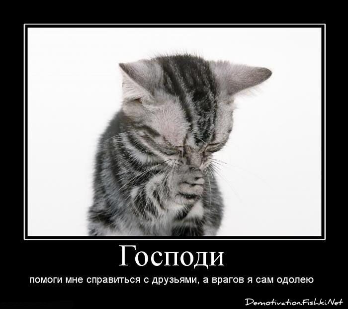 Смешной демотиватор от zubrilov за 15.06.2010 №56291