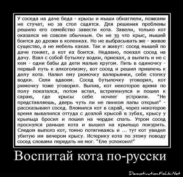 Смешной демотиватор от zubrilov за 15.06.2010 №56293