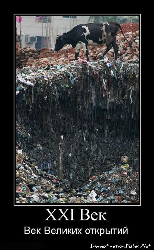 Демотиватор