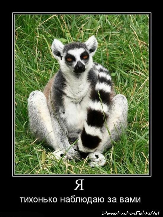 Смешной демотиватор от zubrilov за 15.06.2010 №56325
