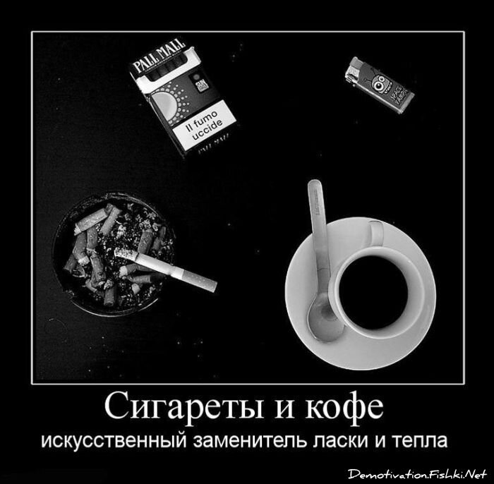 Смешной демотиватор от zubrilov за 15.06.2010 №56335