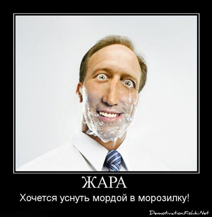 Демотиватор