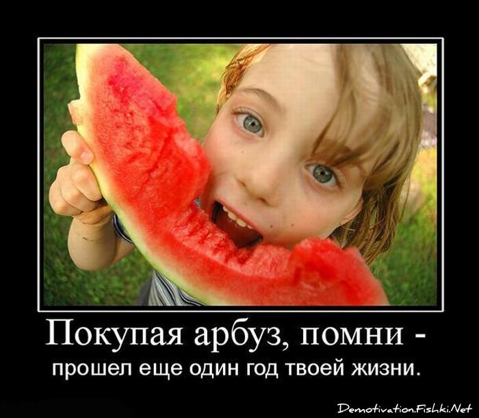 Смешной демотиватор от zubrilov за 15.06.2010 №56340