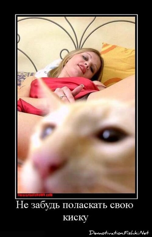 Смешной демотиватор от zubrilov за 15.06.2010 №56360