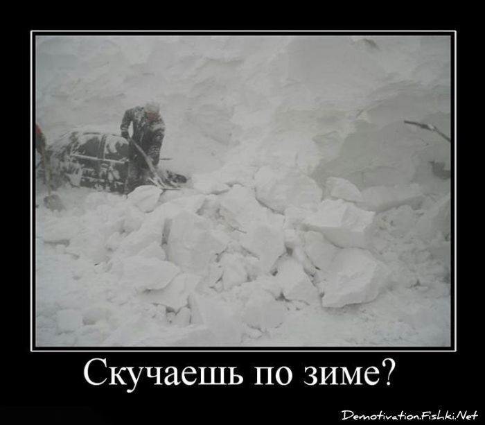 Смешной демотиватор от zubrilov за 15.06.2010 №56373