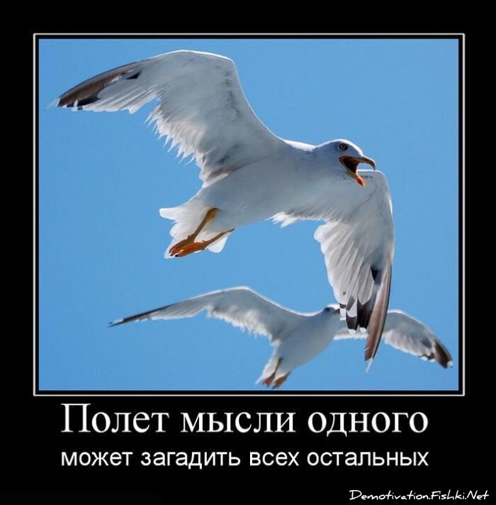 Смешной демотиватор от zubrilov за 15.06.2010 №56377