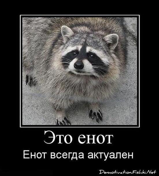 Демотиватор