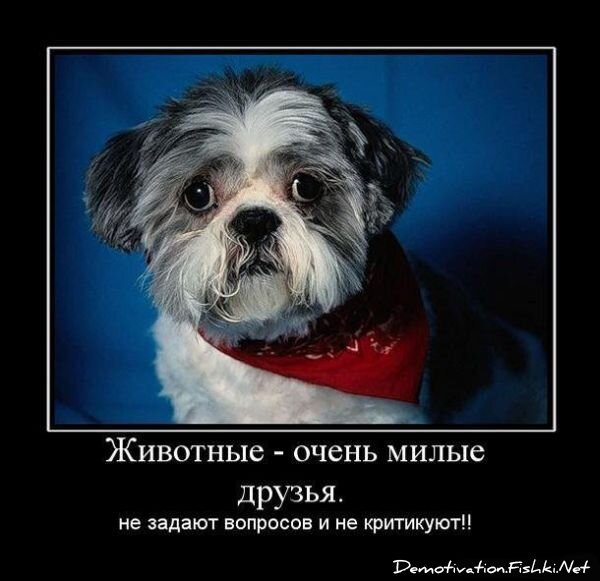 Демотиватор