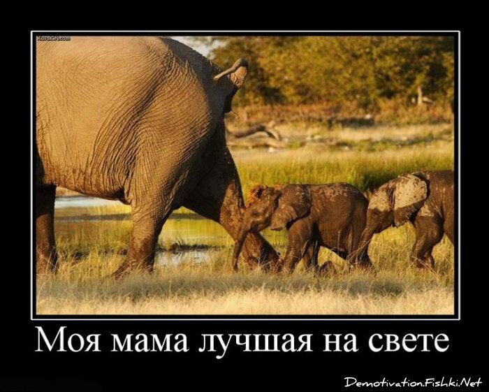 Смешной демотиватор от zubrilov за 18.06.2010 №56453