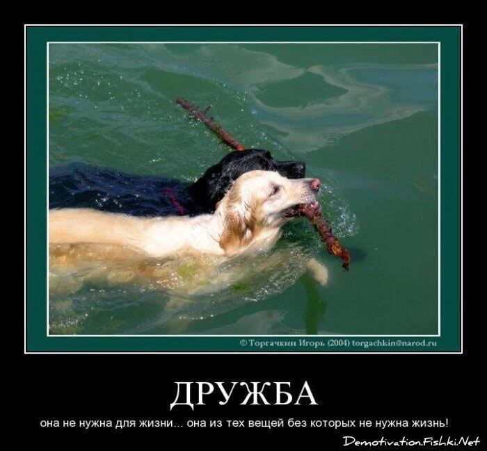 Смешной демотиватор от zubrilov за 18.06.2010 №56456