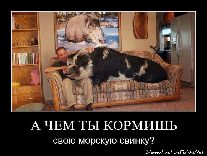 Смешной демотиватор от zubrilov за 18.06.2010 №56460